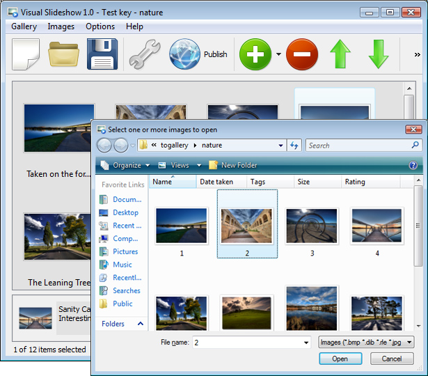 Add Images To Gallery : Picasa Flash Widget