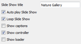 First tab : Flash Slideshow Maker Transition Error