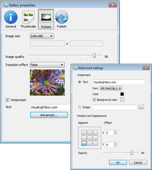 Templates window : Does Picasa Support Flash Slideshows